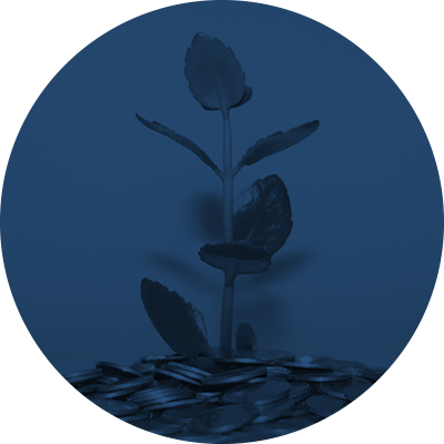 qode-np-item